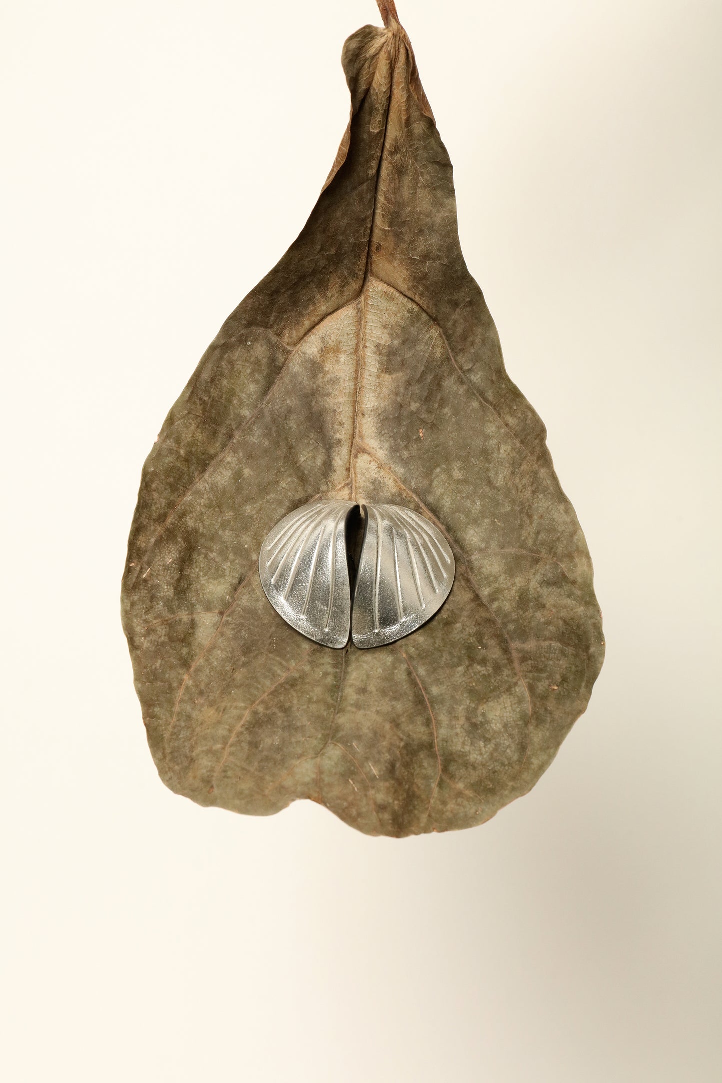 Loto Silver Earrings - SO-LE STUDIO