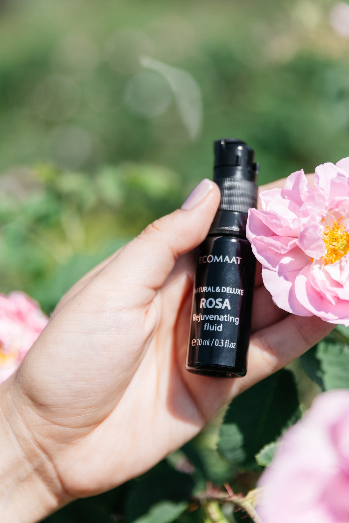 Rosa Face Fluid