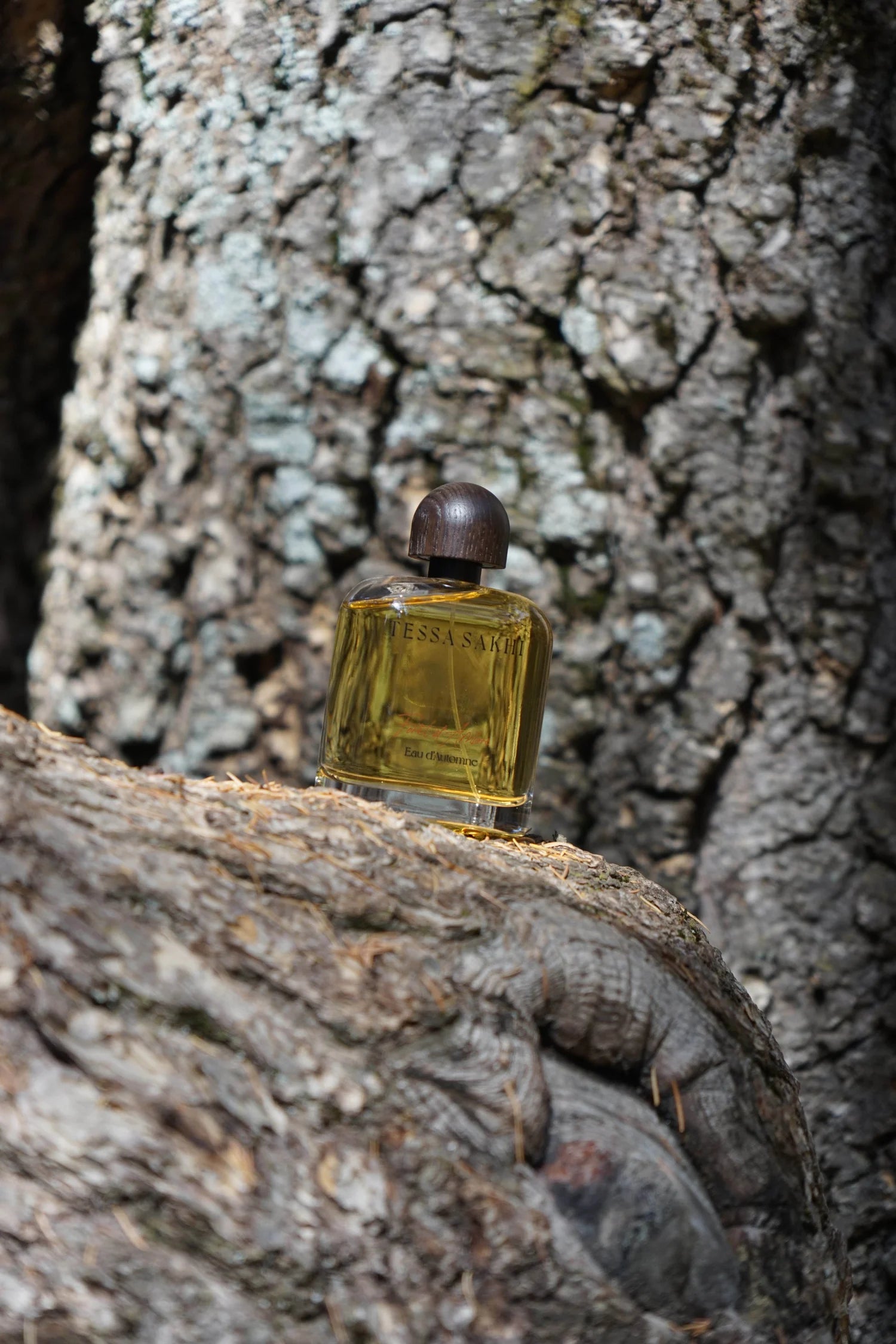Bottle of Forêt d’Ambre – Eau d’Automne by Tessa Sakhi, a unisex amber and woody Eau de Parfum with notes of white pepper, patchouli, labdanum, tonka bean, and musk. A balancing and soothing fragrance curated by House of Nomad Stories.