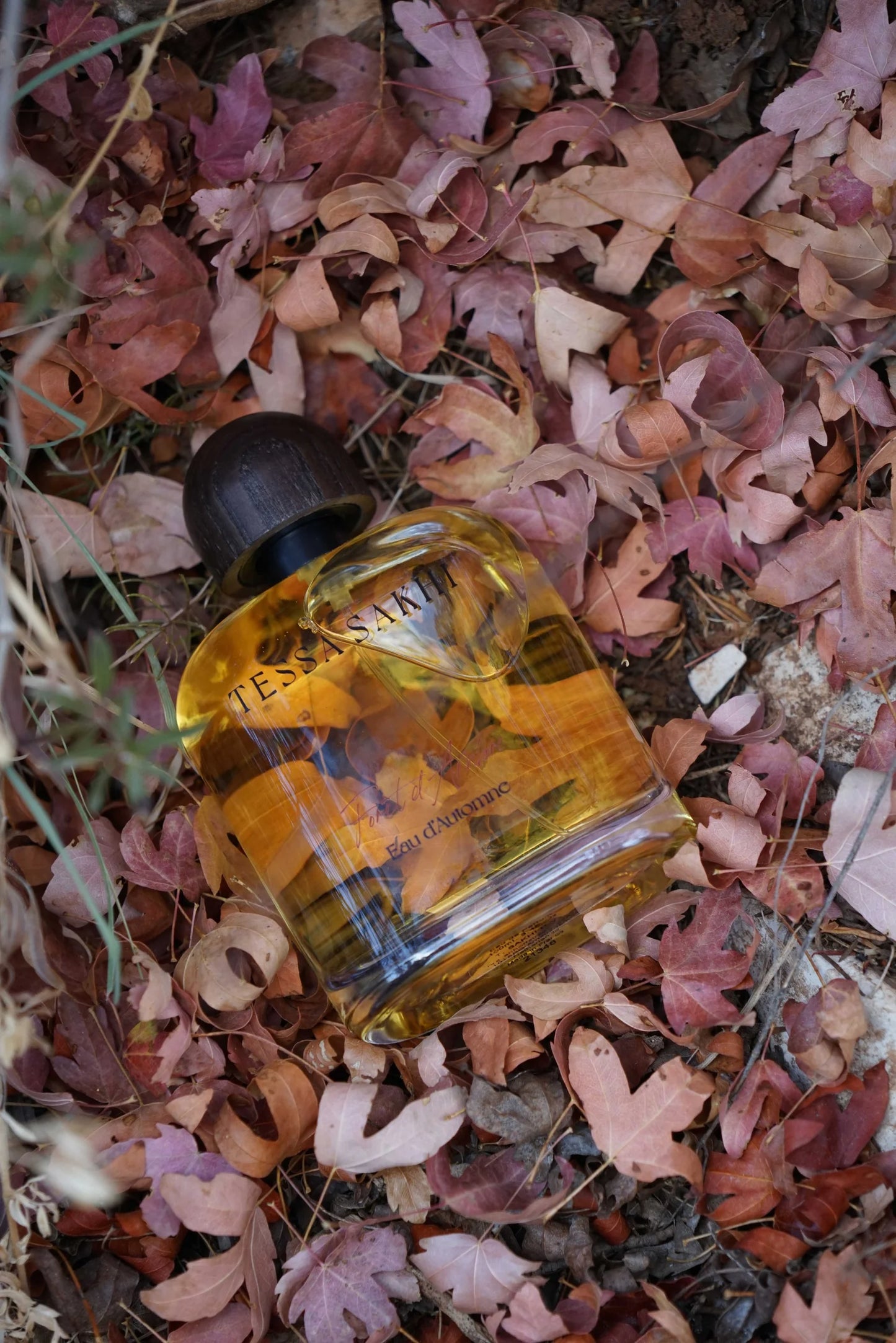 Bottle of Forêt d’Ambre – Eau d’Automne by Tessa Sakhi, a unisex amber and woody Eau de Parfum with notes of white pepper, patchouli, labdanum, tonka bean, and musk. A balancing and soothing fragrance curated by House of Nomad Stories.