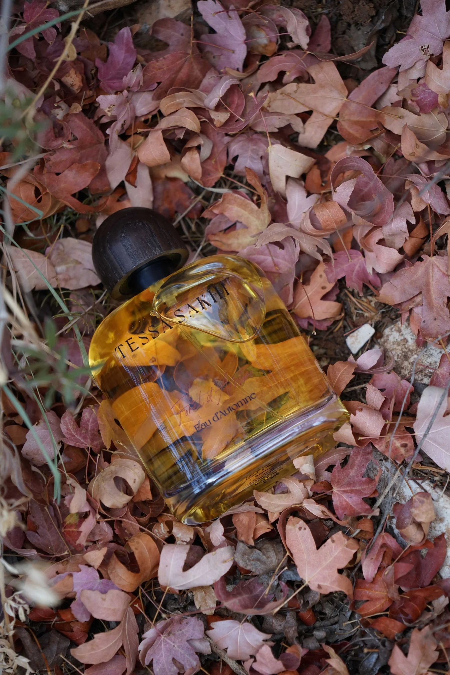 Bottle of Forêt d’Ambre – Eau d’Automne by Tessa Sakhi, a unisex amber and woody Eau de Parfum with notes of white pepper, patchouli, labdanum, tonka bean, and musk. A balancing and soothing fragrance curated by House of Nomad Stories.