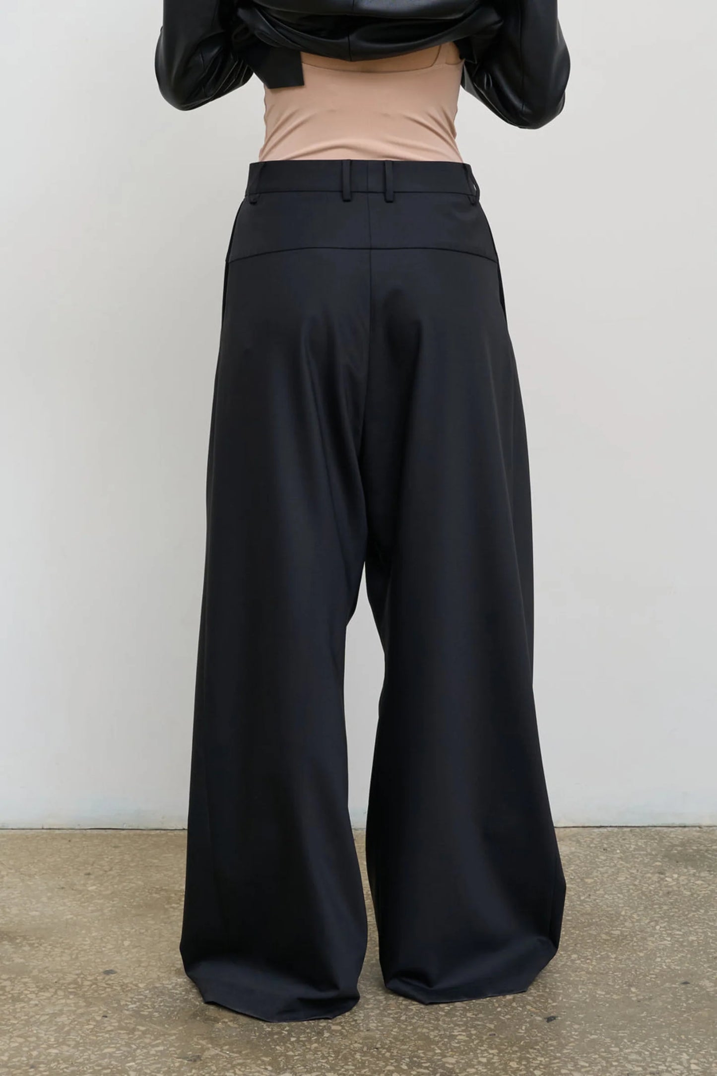 High-Rise Wool Wide-Length Pants - Litkovska